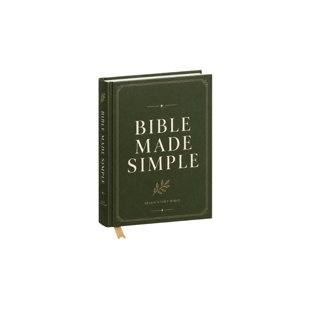 Simplified Bible Guide cover